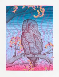 "Spring Owl at Dusk" (2024) by Andrew Schoultz