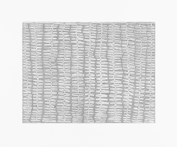 "Shaded Recursive Combs" (2007) by James Siena 