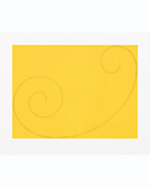 "Yellow Curled Figure" (2002) by Robert Mangold 