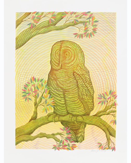 "Spring Owl at Sunrise" (2024) by Andrew Schoultz