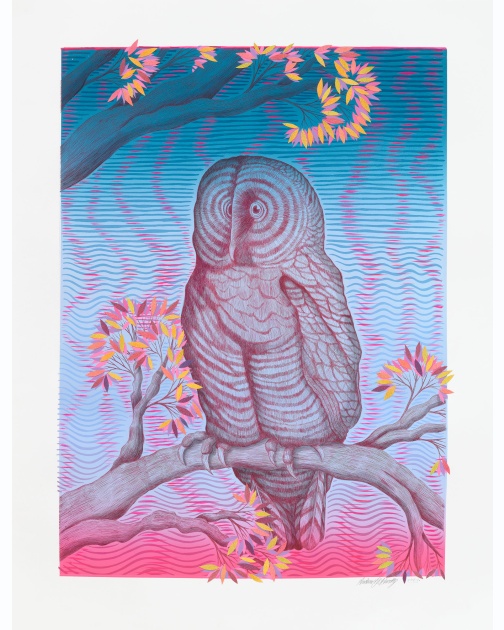 "Spring Owl at Dusk" (2024) by Andrew Schoultz