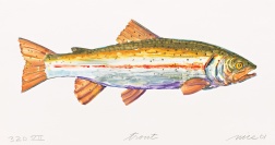 "Trout VII (320)" (2001) by Don Nice 